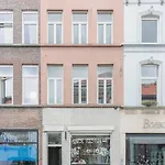Cosy Duplex Nearby Centre Of For 6 Apartment Ghent